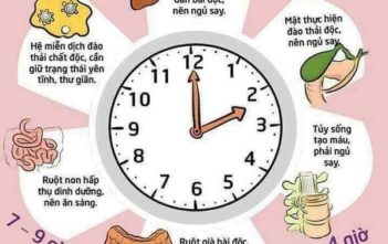 LỊCH NGỦ ĐỂ BẠN PHỤC HỒI CƠ THỂ