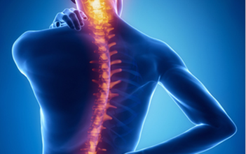 BÀI TẬP THỂ DỤC TRỊ ĐAU LƯNG