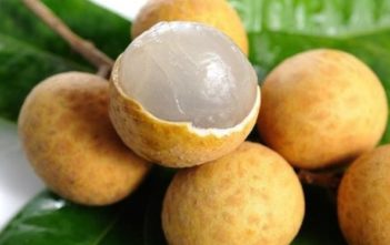 Cách phân biệt nhãn ướp hóa chất với nhãn quê