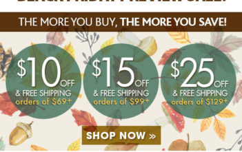 Black Triday Sale tại Support Plus