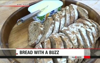 Phần Lan: Giới thiệu bánh mì làm từ dế