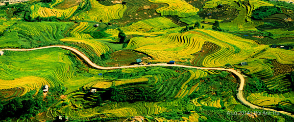 Bí ẩn hoang sơ cuộc sống nơi chưng lừng núi
