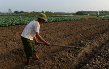 Việt Nam cưỡng chế Vườn rau Lộc Hưng, gây bất mãn cho Công Giáo