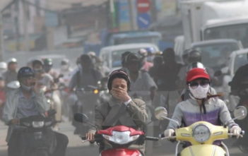 Ăn cái gì cũng chết, bèn ăn tất