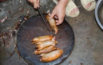 Nhà báo Tây thử món chuột đồng Việt Nam.