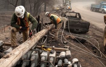 It Took PG&E 8 Months To Prune A Tree Where Leaves Had Already Been Burnt By Power Lines “Inches Away”