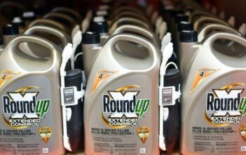 Bayer Woes Deepen As Germany To Ban Glyphosate Weedkiller By 2023