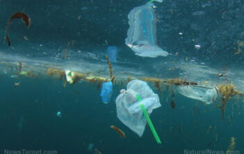 5 Easy ways to reduce ocean pollution
