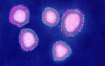 Châu Phi cảnh báo trường hợp đầu tiên nghi nhiễm virus corona