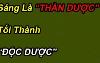 Chuyện “Thần Dược”