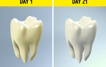 Thử thách 4 tuần không đụng đến rượu bia dù chỉ một giọt, và đây là những gì sẽ xảy ra theo chia sẻ của người trong cuộc