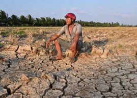 Miền Tây khát nước sạch giữa mùa hè khốc liệt, Chính phủ Việt Nam khẩn cấp ứng phó