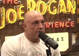 Rogan Endorses Trump After Wild Musk Interview