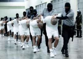 Democrat Demands Trump ‘Return’ Deported Gang Members to U.S…